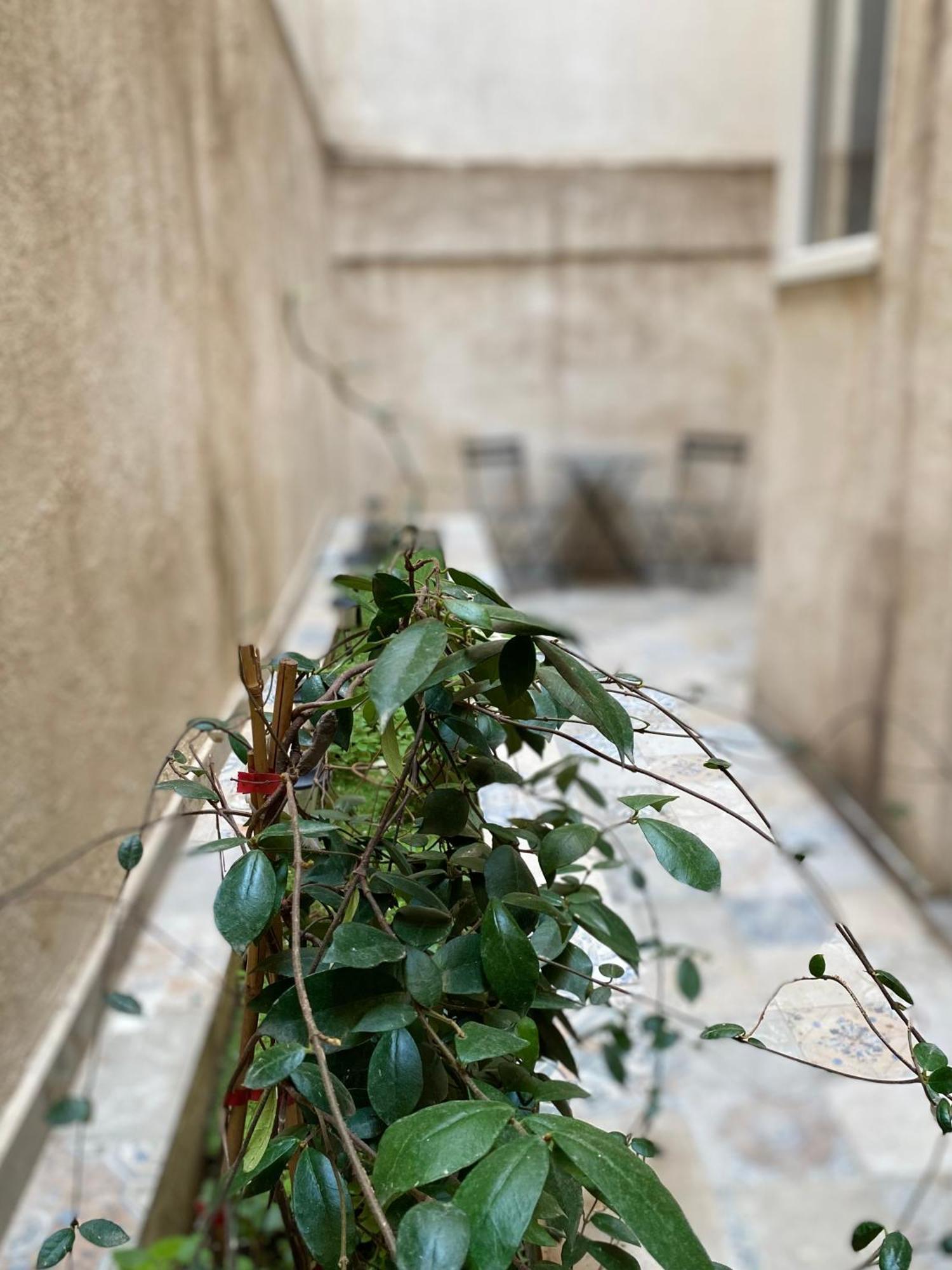 A Place 4 U Under Acropolis Apartment Athena Bagian luar foto